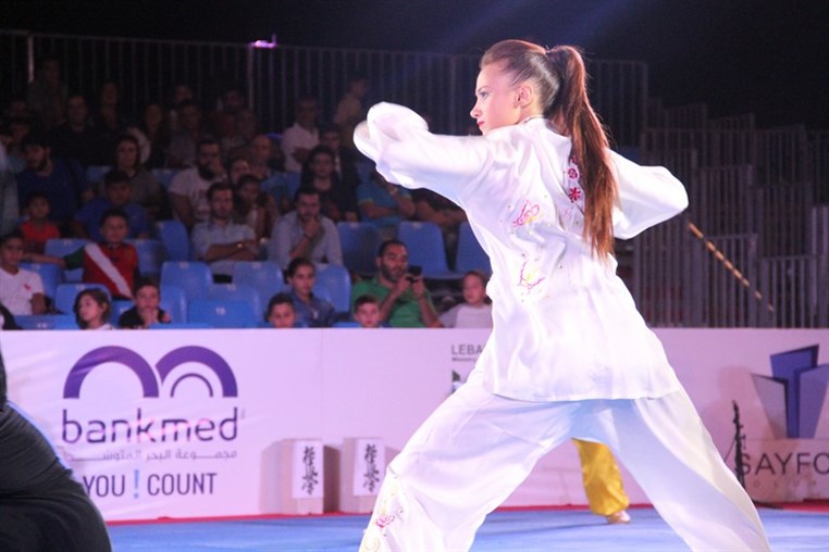 Martial Arts Festival